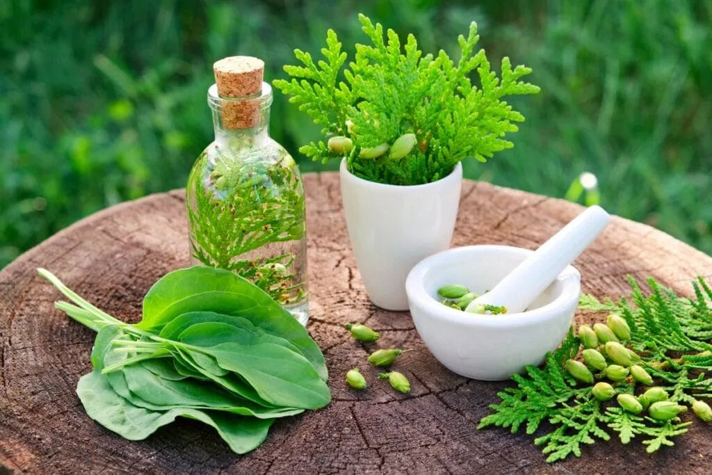 Naturopathy Products in Pakistan for a Natural and Healthy Lifestyle