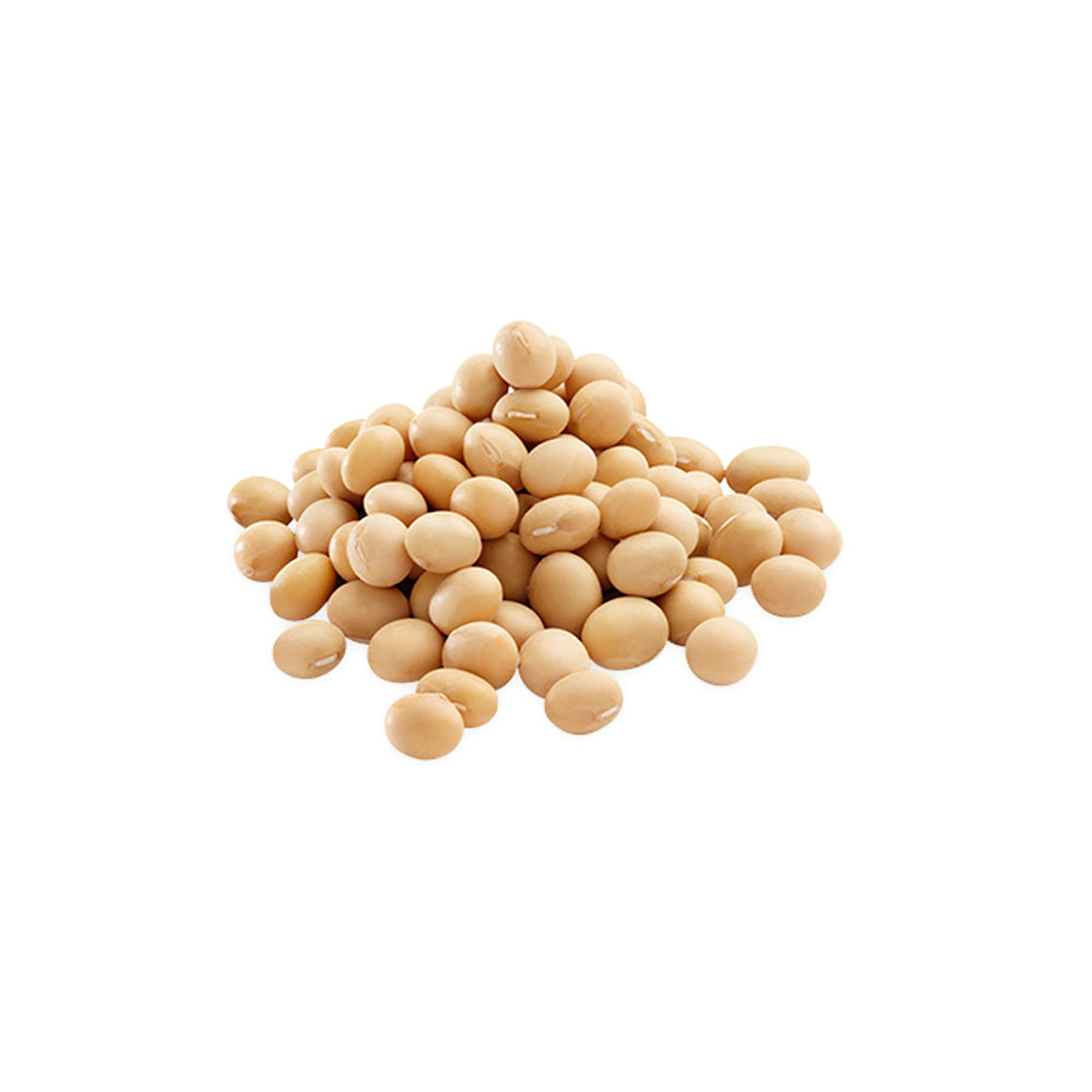 Soya Bean