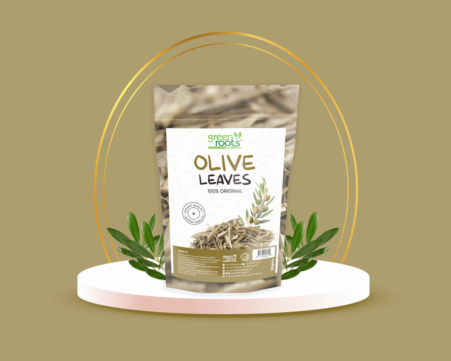 Olive Leaves